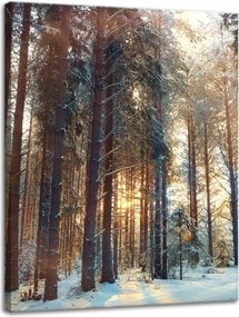 Vászonkép Erdő Tél Hó Fehér Természet 30x40 cm