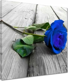 Vászonkép 40x40 Kék rózsa a deszkákon