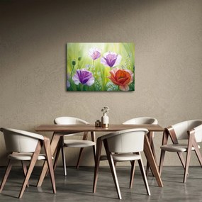 Kép - Pipacsok (70x50 cm)