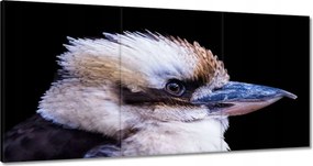 Vászonkép 180x90 Kukabura kacagó madár