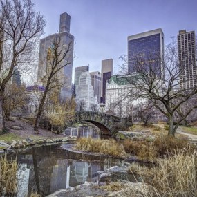 Poszter 50x50cm Központi park Manhattan panorámával 2, Assaf Frank