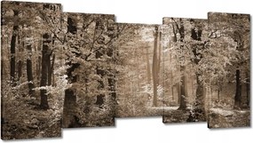 Vászonkép 150x80 Erdő szépia színben