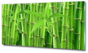 Egyedi üvegkép Bambuszok osh-36350386