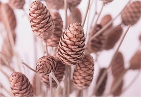 Flizelin tapéta Divatos 3D fali természetes elegancia 152x104 Ragasztóval