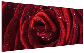 Piros rózsa képe (120x50 cm)