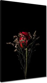 Vászonkép 80x120 Rózsa Virág Virágok Rózsa