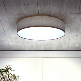 Brilagi - CARMEN LED 48W 230V állítható mennyezeti lámpa 3000-6500K + DO