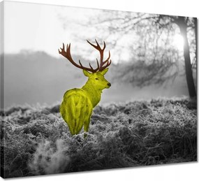 Vászonkép 50x40 Sárga szarvas Erdő Tájkép