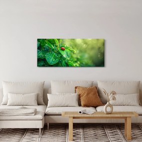 Kép - Katicabogár (120x50 cm)