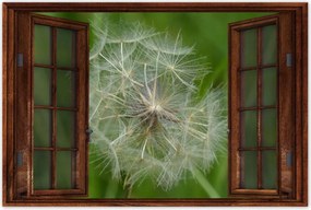 Poszterek 60x40 Pitypang Virág Virágok