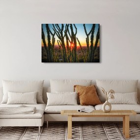 Kép - Növények (90x60 cm)