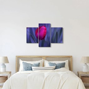 Tulipán bimbó képe (90x60 cm)