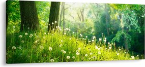 Kép - Varázslatos rét tele pitypanggal (120x50 cm)