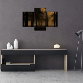 Kép - Sötét erdő (90x60 cm)