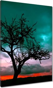 Vászonkép 70x100 Naplemente a sivatagban