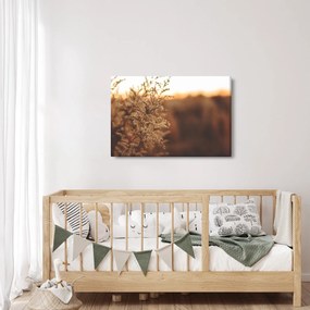 Virágzó fű képe (90x60 cm)