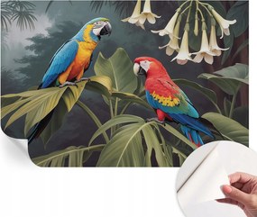Modern Öntapadós Fotótapéta Mosható Színes papagájok 104x70 cm