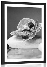 Poszter paszpotuval orchidea és Zen kövek fekete-fehérben