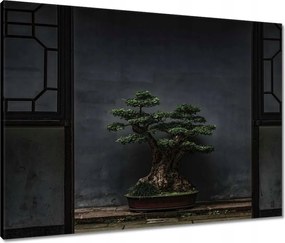 Vászonkép 80x60 Bonsai Fa Kultúra