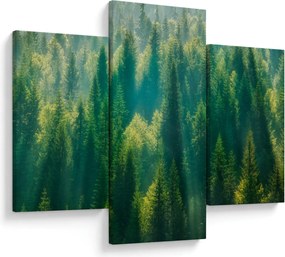 Kép - fenyőerdő (90x60 cm)