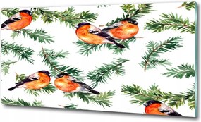 Fotó-üvegkép Vörösbegy a tűleveleken 125x50