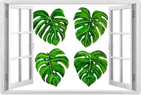 Poszter 60x40 Lyukas monsera levelek