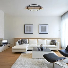 Globo 67295D1 - BEATRIX LED mennyezeti lámpa LED/44W/230V