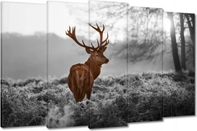 Vászonkép 150x95 Méltóságteljes szarvas szarvakkal