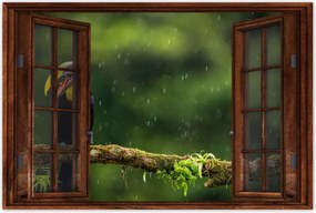 Poszterek 90x60 Madarak