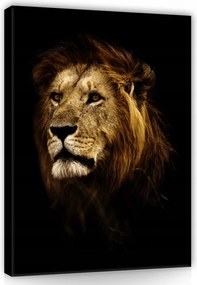 Vászonkép 60x80 Oroszlán portré vad természet erő fenség sörény tekintet király