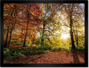 Poszterek keretben 40x30 Tájkép