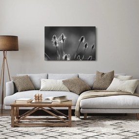 Kép - Bézs színű puha fű N⁰2 (90x60 cm)