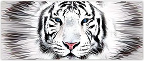 Fotótapéta flizelina 250x104 Fehér tigris