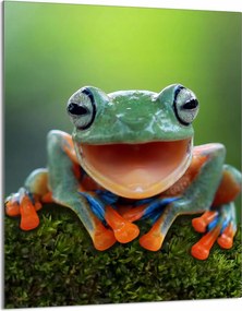 Üveg Vágódeszka 40x52 Béka A Konyhába