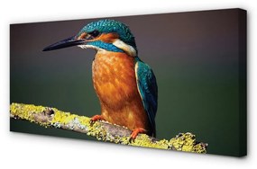 Canvas képek Színes madár egy ágon 100x50 cm