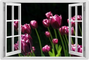 Poszterek 120x80 Lila tulipĂĄnok