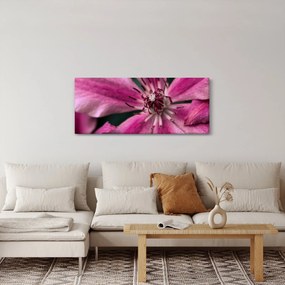 Rózsaszín flamingóvirág képe (120x50 cm)