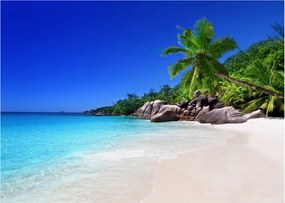 Kép a strandról a Praslin szigeten (70x50 cm)