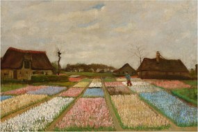 Kép - Vincent van Gogh, Flower Beds in Holland, reprodukciók (90x60 cm)