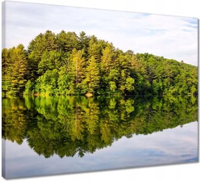 Vászonkép 50x40 Erdő Tó Felhők