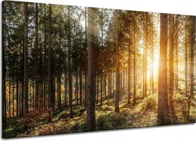 Nyírfa Napfák Vászonkép Reggel 120x70 cm Ajándéknak is tökéletes