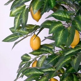 PLANTASIA Műnövény Citromfa 184 cm