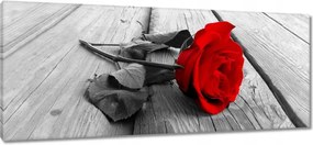 Vászonkép 100x40 Vörös rózsa a deszkákon