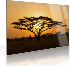 Üveg kép - afrikai szavanna (70x50 cm)