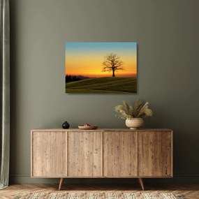 Egy fa képe a mezőn (üvegen) (70x50 cm)