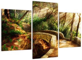 Kép - erdei, ösvények (90x60cm)