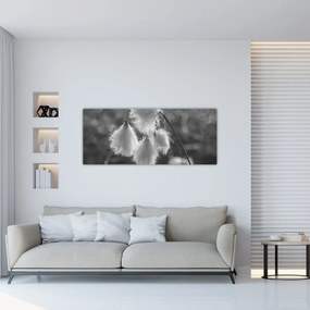 Kép - Cottongrass (120x50 cm)