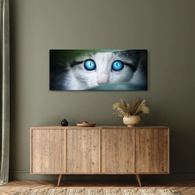 Macska képe (120x50 cm)
