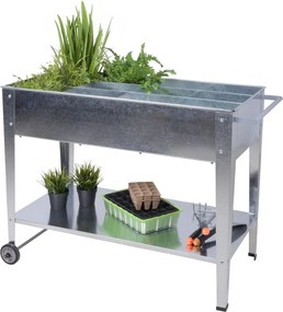 Magaságyás Mariegold – Garden Pleasure