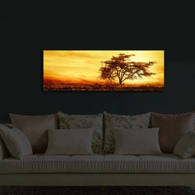 Vászonkép, 30×90 cm – TR239SHN3201